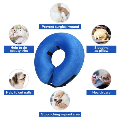 Inflatable Dog Recovery Collar