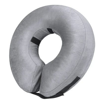 Inflatable Dog Recovery Collar