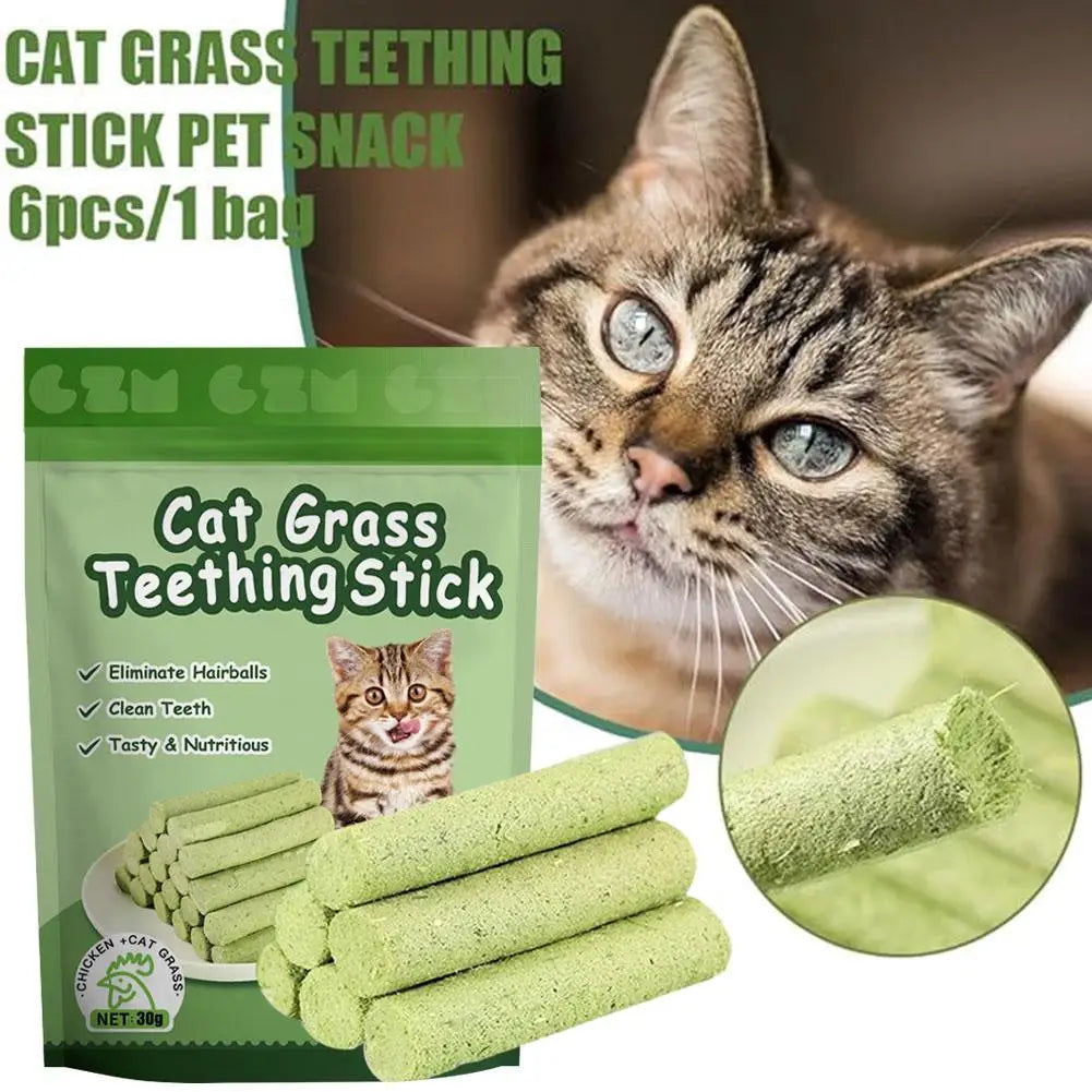 Cat Grass Teeth Grinding Sticks