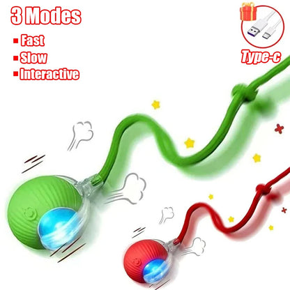 Smart Interactive Cat Toy