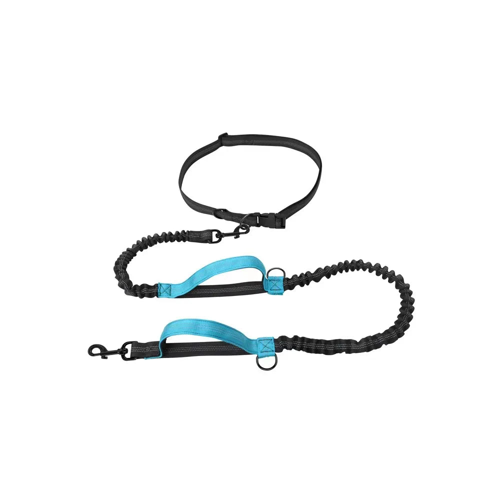 Reflective Hands-Free Dog Leash