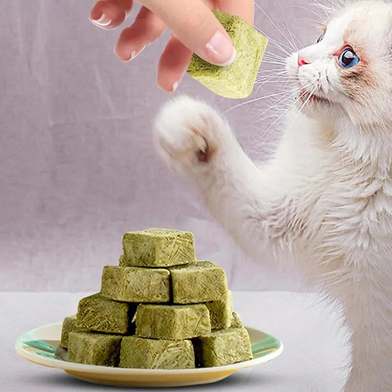 60g Cat Teeth Edible Catnip Toy