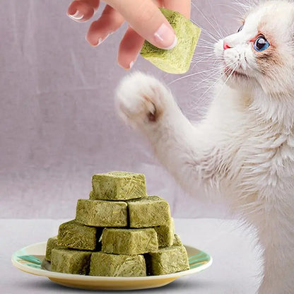 60g Cat Teeth Edible Catnip Toy