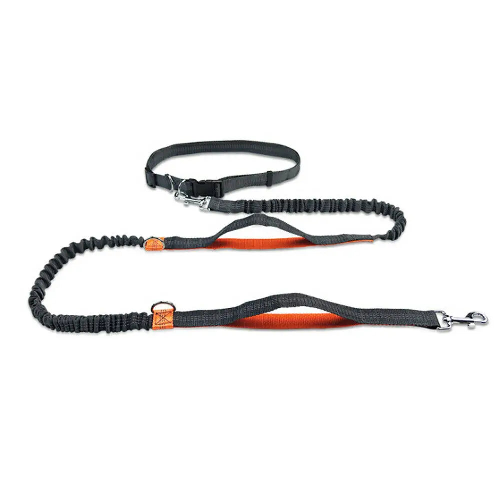 Reflective Hands-Free Dog Leash