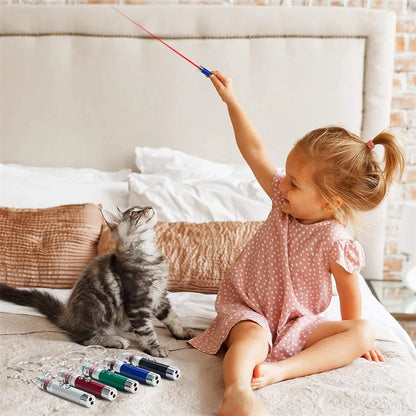 Mini Cat & Dog Laser Pointer Toy