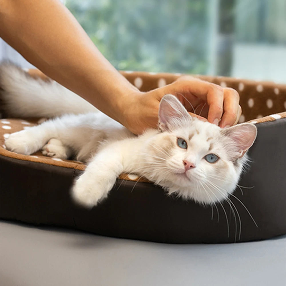 Cats Bed | Pet Beds & Furniture