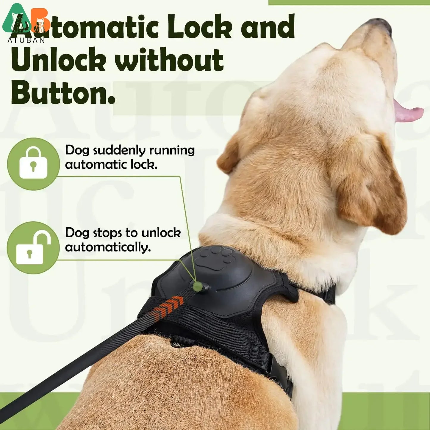 2-in-1 No-Pull Dog Harness